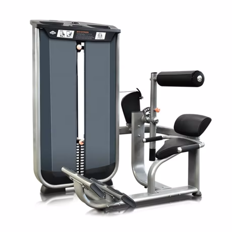 Exercise Machine Commercial Gym Equipment Lower Back Extension delta gym