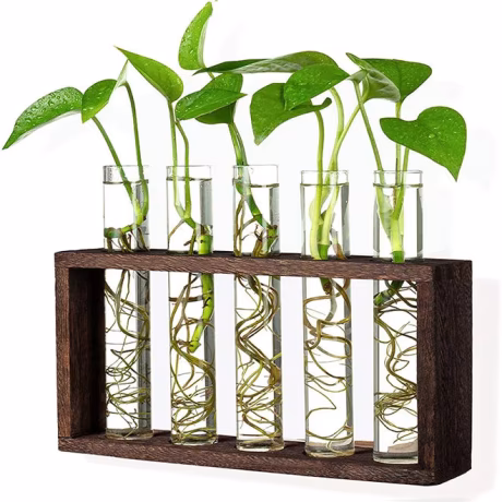 Hot Glass Planter Propagation Station Desktop Plant Terrarium with Wooden Stand Glass Test Tube Flower Bud Vase for Office Decor