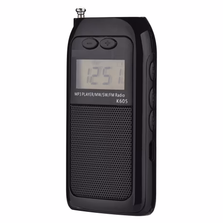 Own Brand Portable Radio Lcd Digital Fm Am Shortwave Receiver Radio Multifunctional Stereo Mp3 Player Radio Am Fm Sw Portable