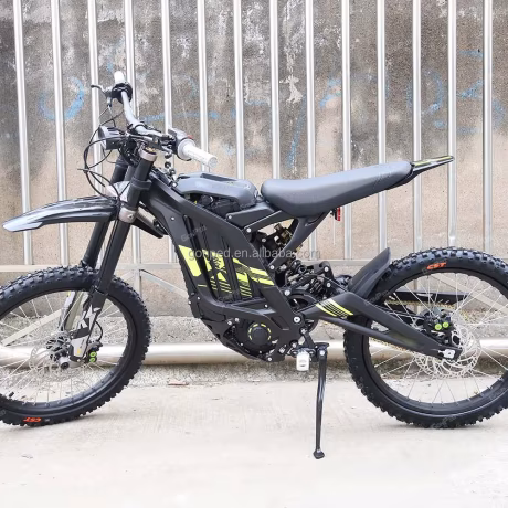 2024 Cheapest Sur on Original Genuine Version 6000W Light Bee X Off Road Electric Motorcycle