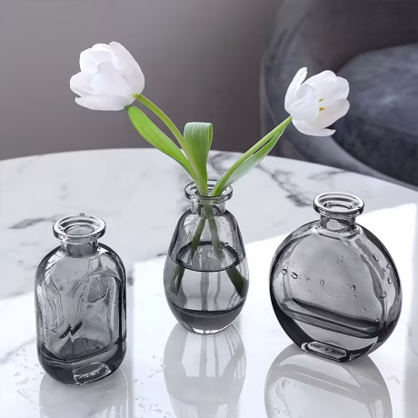 Dining table vase light luxury glass transparent water growing dried flowers Nordic decoration simple glass vase