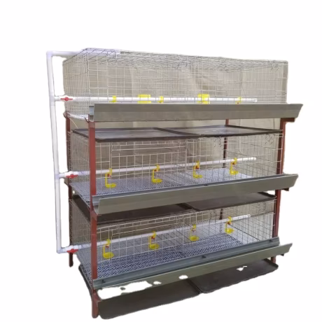 Poultry farm High Quality Growing Broiler Chicks Rate Cage For Nigeria Poultry Farm From Alibaba Golden Supplier in Ghana