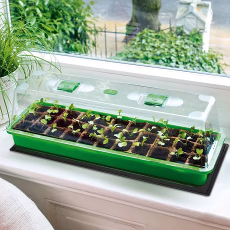 Seedling Heat Mat and Digital Thermostat Warm Hydroponic Heating Pad for Indoor Home Gardening Seed Starter