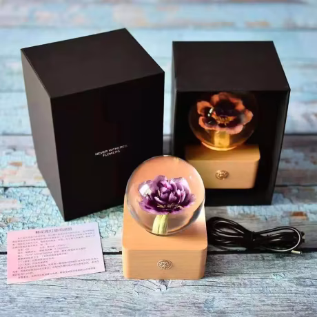 Unique Hot Item Novelty Gifts 2024 Trends New Years innovative Product Ideas Real Flower Night Light Holiday Festival Gift Sets